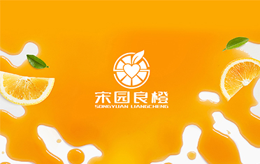 某良橙——南京LOGO设计